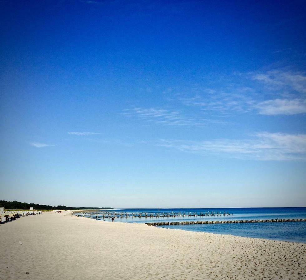 Little Rose Zingst Exterior foto
