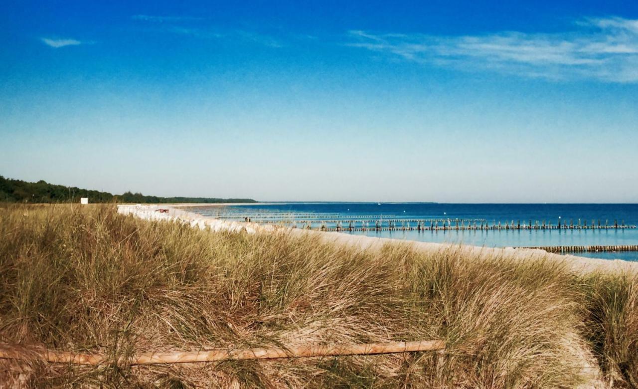 Little Rose Zingst Exterior foto